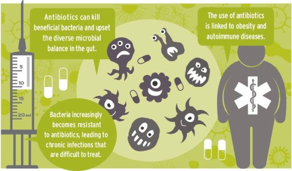 Будущее антибиотиков