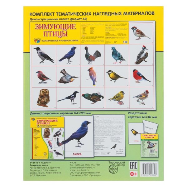 Плакат. Зимующие птицы.