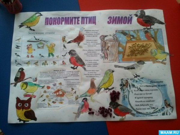 Плакат. Зимующие птицы.