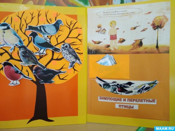 Лэпбук перелетные птицы для дошкольников