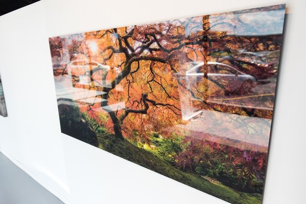 Картины на стекле