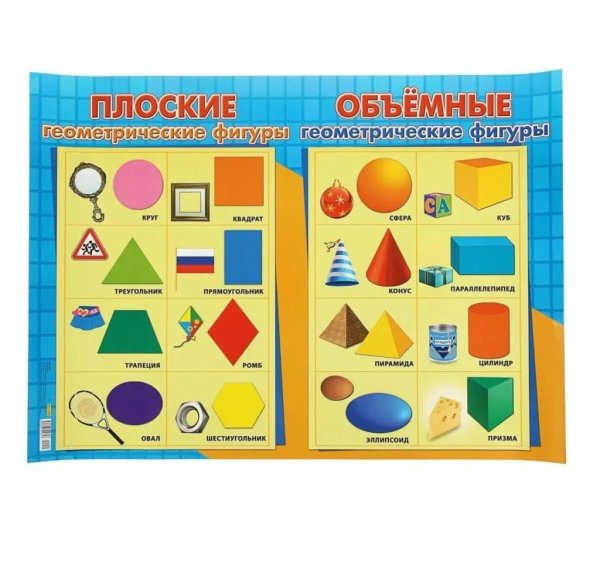 Плоские и объемные фигуры