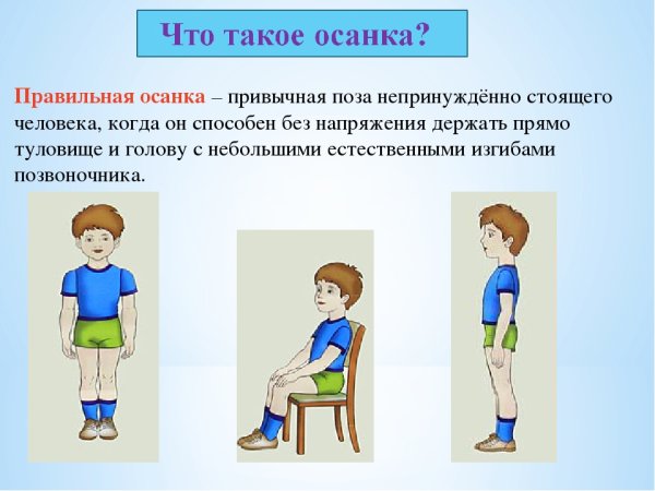 Правила правиь Ной осанки