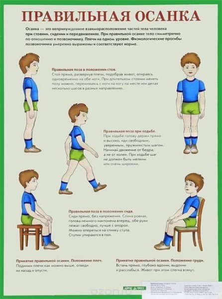Сиди правильно. Плакат