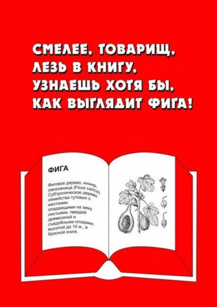 Плакаты по русскому языку и литературе