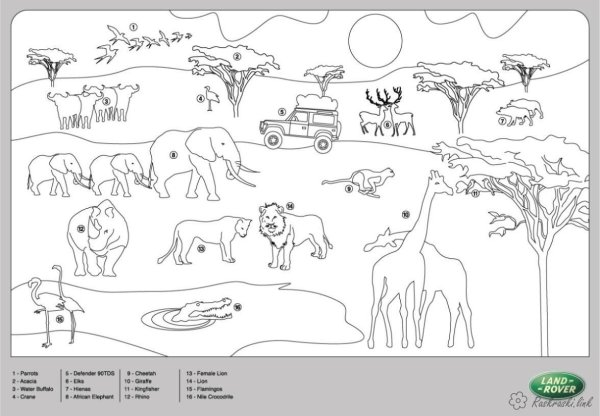 Раскраска джунгли в стиле комикса