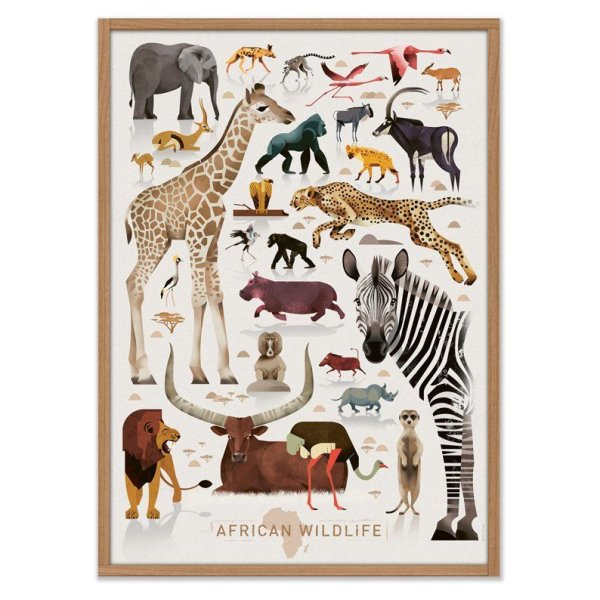 Melissa Doug сафари