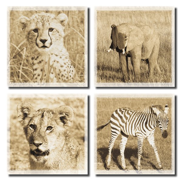 Плакат animals of Africa