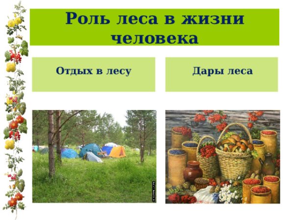 Ролт Леа в жизи челоека