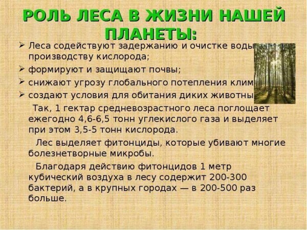 Ролт Леа в жизи челоека