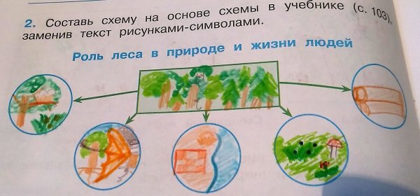 Значение леса для человека