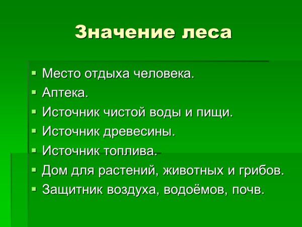 Польза деревьев для человека