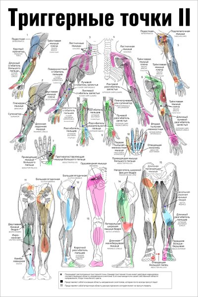 Плакаты в кабинет массажа