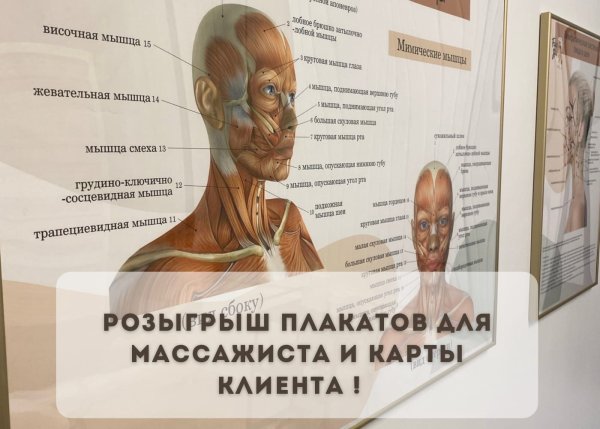 Плакаты для кабинета косметологии