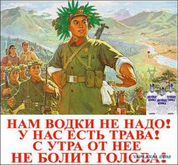 Денег не надо работу давай