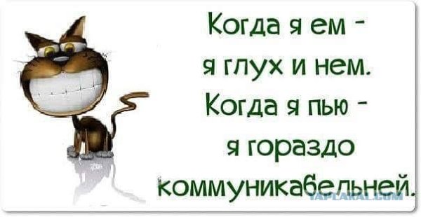 Когда я ем я глух и нем