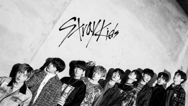 Группа Stray Kids арты