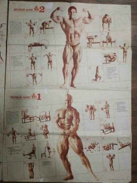 Плакаты Джо Вейдера система строительства тела