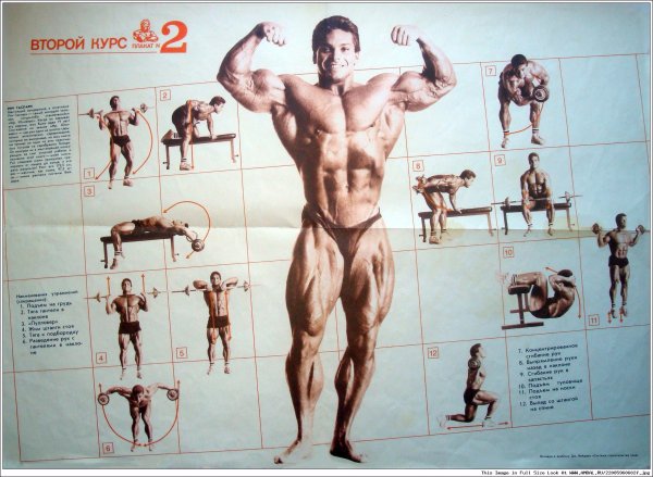 Джо Вейдер система строительства тела плакаты