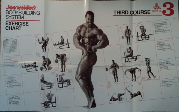 Джо Вейдер система строительства тела