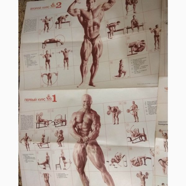 Плакаты Джо Вейдера система строительства тела