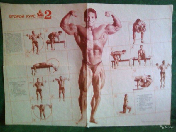 Вейдер Джо система строительства тела по системе Джо Вейдера