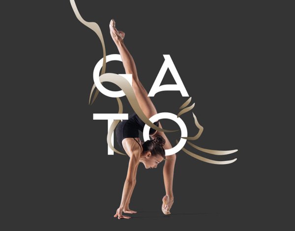 Художественная гимнастика картины