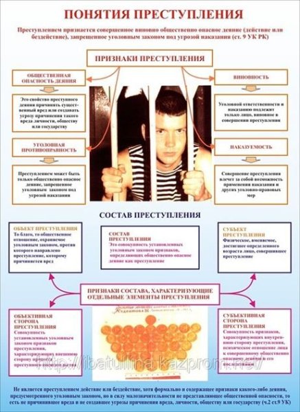 Стенды по криминалистике