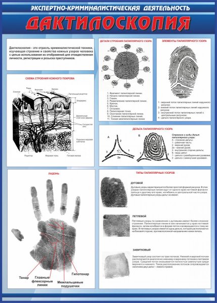 Трасология баллистика дактилоскопия