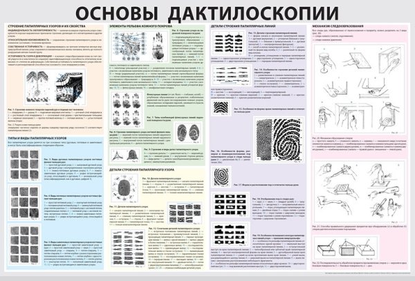 Плакаты криминалистика