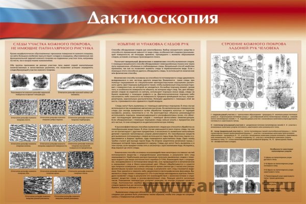 Стенды по криминалистике