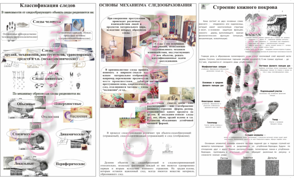 Стенды по криминалистике
