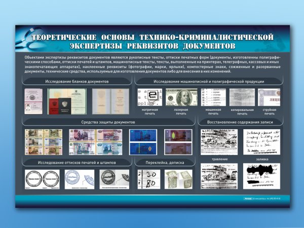 Наглядность в криминалистике