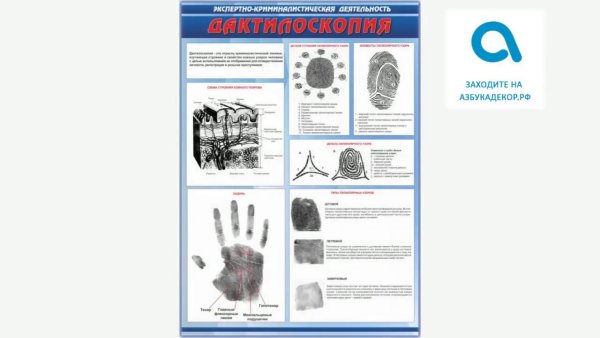 Криминалистическая трасология в криминалистике