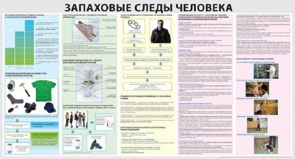 Виды следов орудий взлома