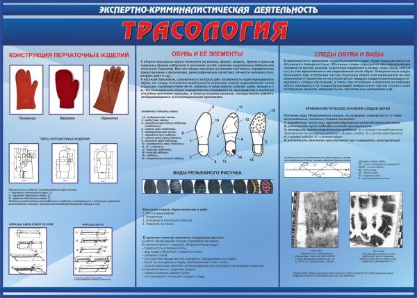 Криминалистика баллистика трасология