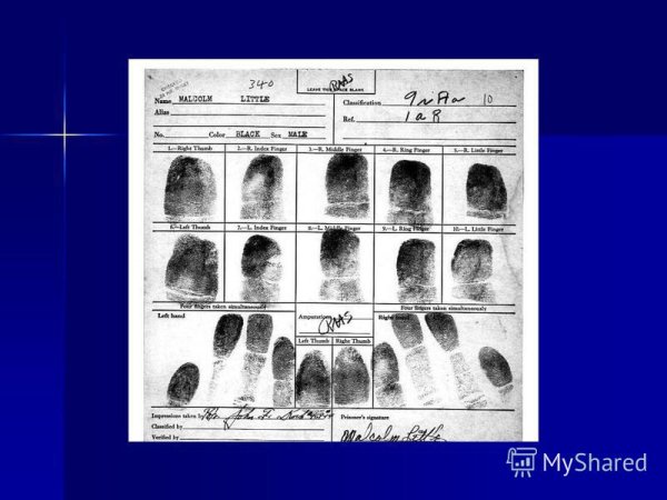 Задачи криминалистики схема