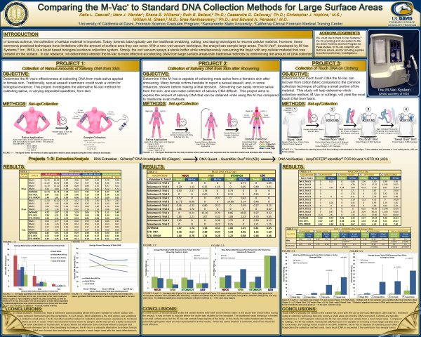 Классификация следов ног человека в криминалистике