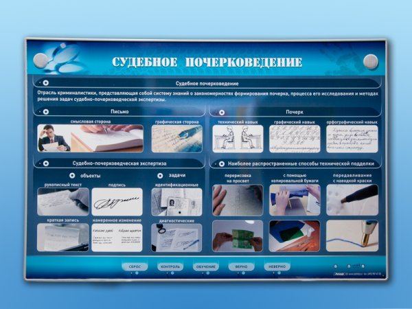 Освидетельствование человека криминалистика