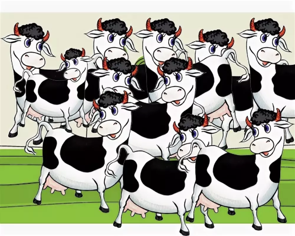 Корова думает