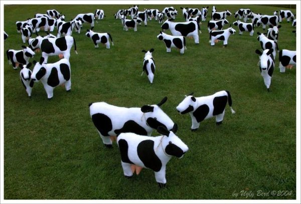 Наклейки "коровы"