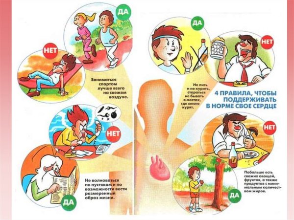 Профилактика заболеваний сердца