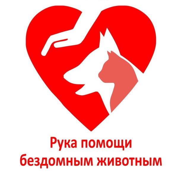 Благотворительность вместо цветов