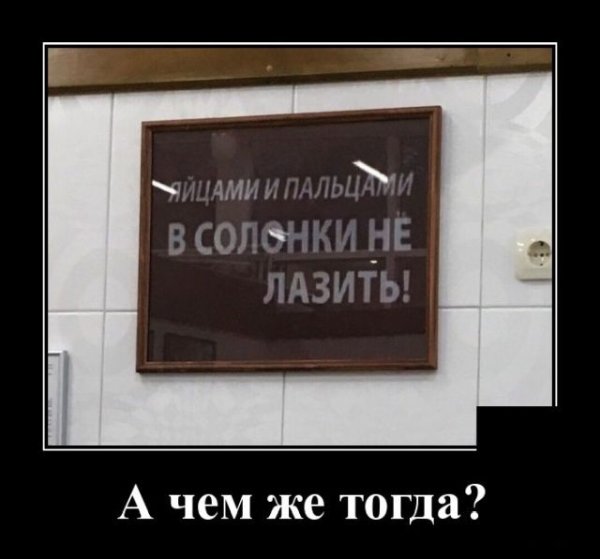 Лазить яйцами в солонку картинки