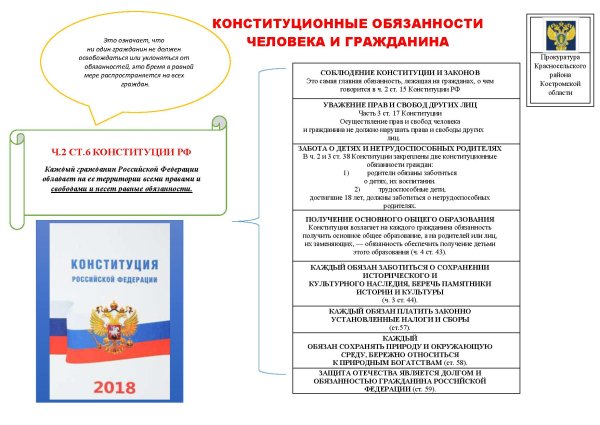 Обязанности гражданина РФ рисунок