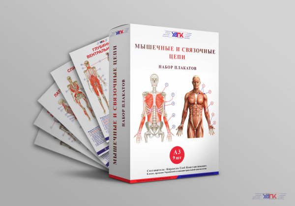 Миофасциальные триггерные точки книга