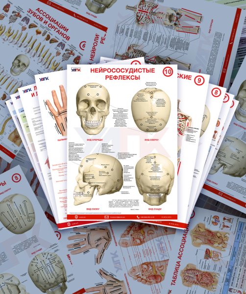 Плакаты Прикладная кинезиология