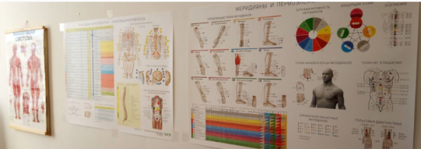 Плакаты Прикладная кинезиология