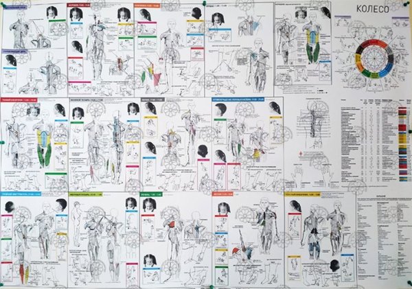 Кинезио плакат