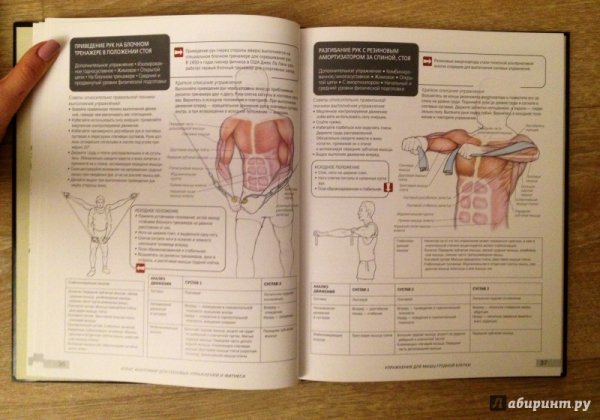 Анатомический атлас упражнений